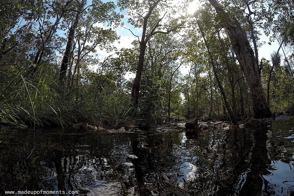 tour-of-darwin-litchfield
