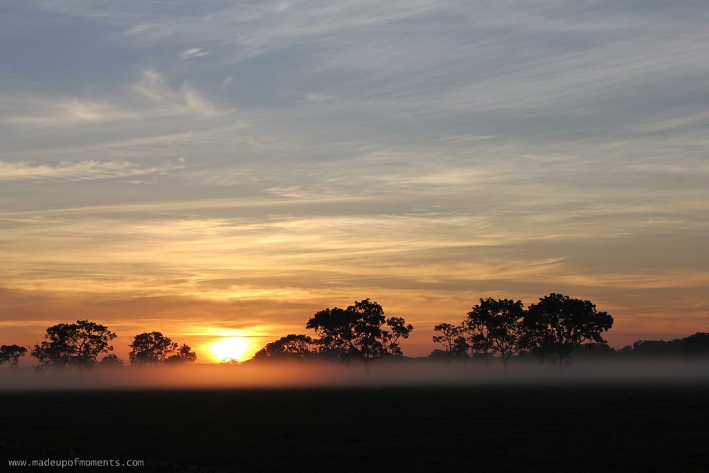 tour-of-darwin-Sunrise