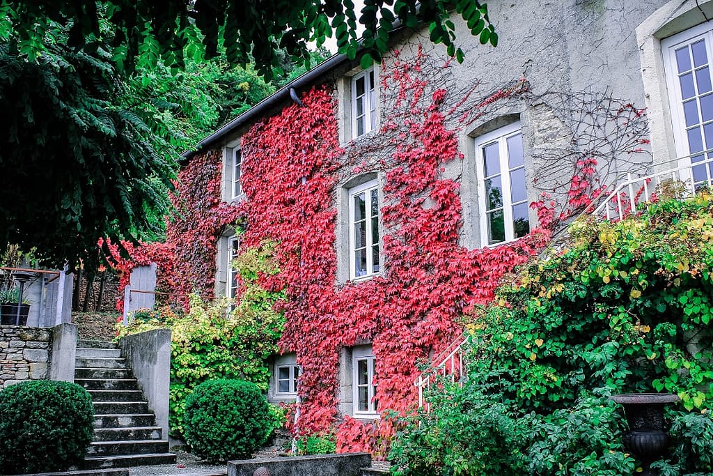 burgundy-region-autun