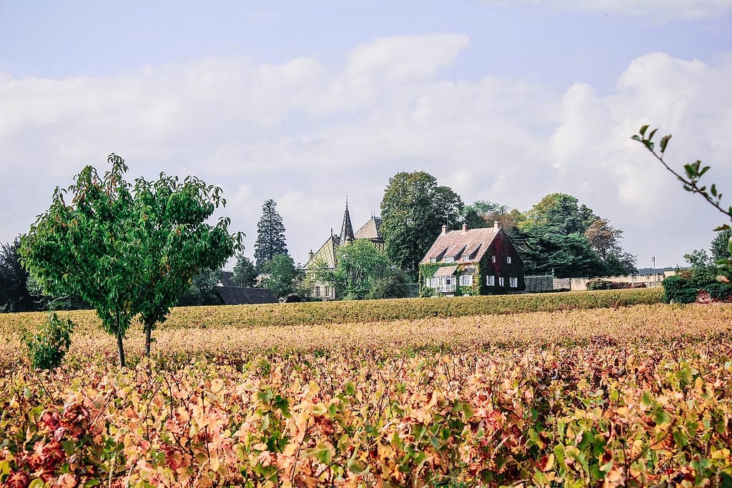 burgundy-region-vineyards
