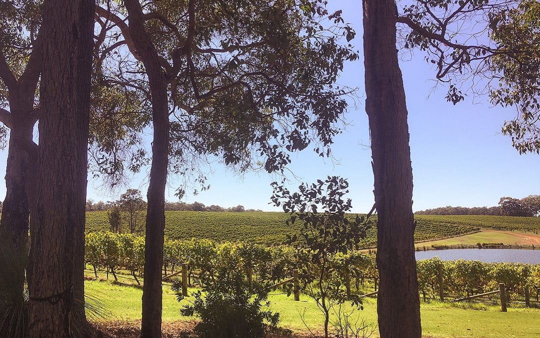 margaret-river-wineries-Aravina-estate-View