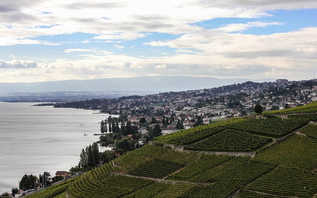 Lavaux wine region and Montreux