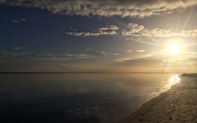 A week in the Margaret River region