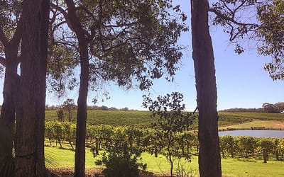 Margaret River Wineries