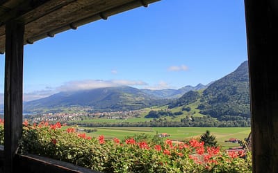 Swiss chocolate and cheese