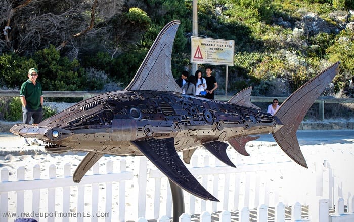 Sculpture by the Sea Cottesloe The Great Hammerhead
