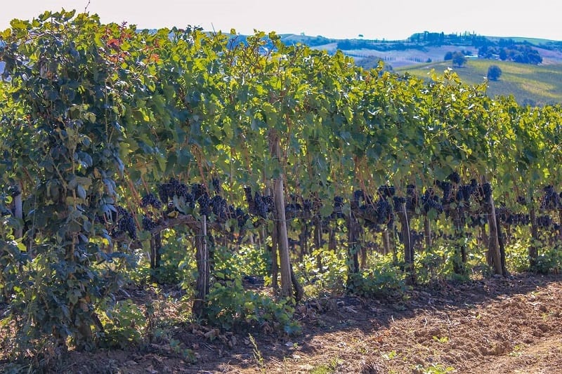 travel-planning-tuscany